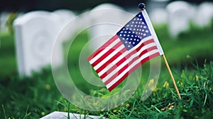 Solemn Tribute: American Flag Amongst Veterans' Graves, Copy-Space
