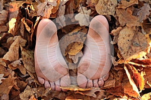 Soles of bare feet photo