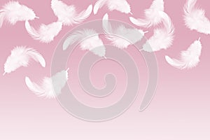 Solf fluffy white feathers falling down in the air