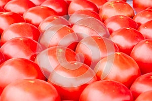 Solid background of fresh ripe and natural red tomatoes