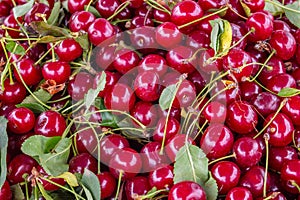 Solid background of fresh ripe and natural sweet cherry