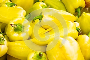 Solid background of fresh ripe and natural yellow peppers