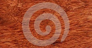 Solid Brazilian cherry wood texture background in filled frame format