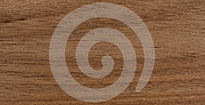 Solid Brazilian oak wood texture background in filled frame format