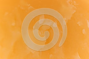 Solid Cheese. Background Texture