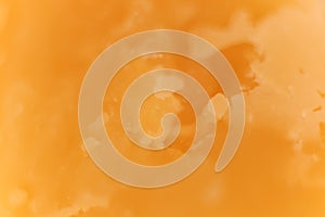 Solid Cheese. Background Texture