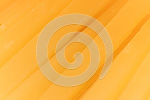 Solid cheese slices. Background Texture