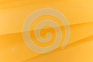 Solid cheese slices. Background Texture