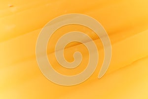 Solid cheese slices. Background Texture