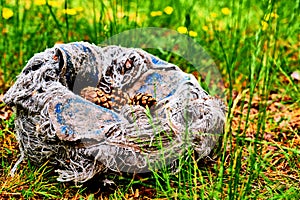 Abandoned torn old sports ball with cones inside among green grass