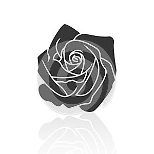 Solid icons for rose flower and shadow,vector illustrations