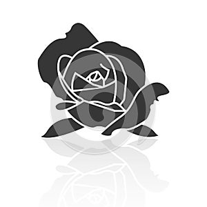 Solid icons for rose flower and shadow,vector illustrations