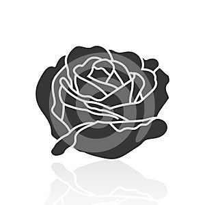 Solid icons for rose flower and shadow,vector illustrations