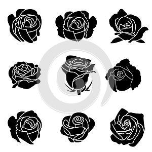 Solid icons set for rose flower and shadow,vector illustrations