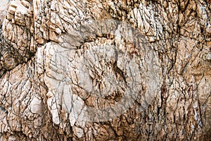 Solid limestone rock texture with muliple cracks