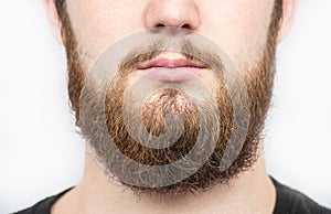 Solid man with beard and mustache. Closeup portrait of athletic bearded man. Handsome stylish bearded man. male, macho, long