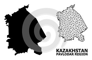 Solid and Mesh Map of Pavlodar Region photo