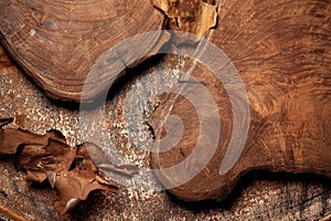 Solid oak cutting board and pine tree bark on rust metal background.