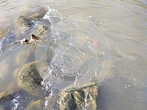 Solid rock hit by the flow of water in a river.