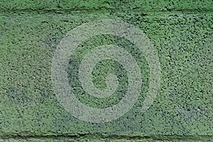 Solid structure of green grained background.