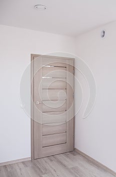 Solid wooden door