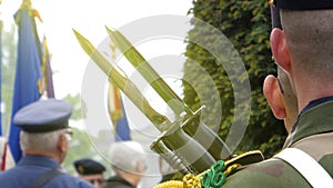 Solider holding gun at parade in France