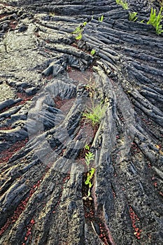 Solidified lava found in Pahoa on the big island of Hawaii photo