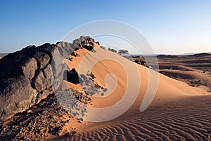 Solidified Lava Stones In Sand Dune