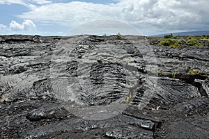 Solidified Pahoehoe Lava Flow, Hawaii Big Island