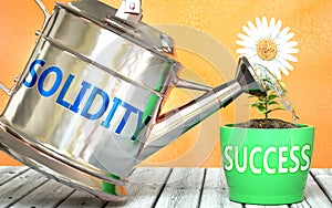 Solidity helps achieving success - pictured as word Solidity on a watering can to symbolize that Solidity makes success grow and