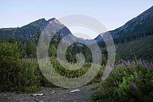 Solisko peak and Mlynicka valley, High Tatras mountain, Slovakia