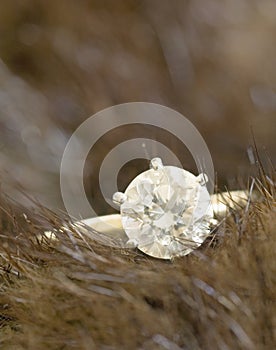 Solitaire diamond and mink photo