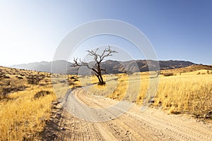 Solitaire is a remote settlement in Namibia, located on the edge of the Namib Desert