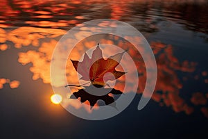 Solitary autumn leaf with a stunning sunset background