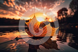 Solitary autumn leaf with a stunning sunset background