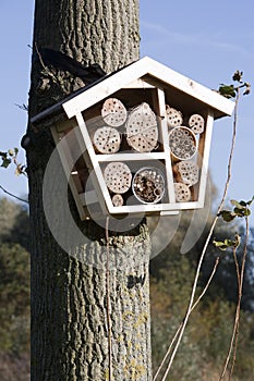 Solitary bee hotel