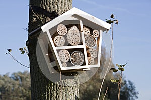 Solitary bee hotel