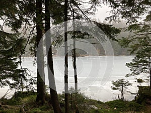 Solitary bench amidst the serene beauty of a forest, nestled alongside a picturesque lakem photo