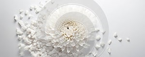 A solitary chrysanthemum surrounded by an ocean of white petals.. AI generation