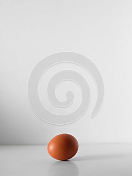 Solitary Egg: Balance in Simplicity
