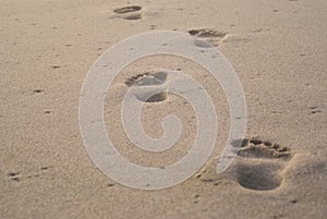 Solitary footprints in sand photo