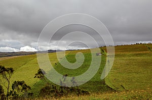 A solitary house in the middle of farmlands