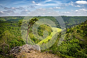 Solitary pine tree on beautiful rocky viewpoint above deep valley photo