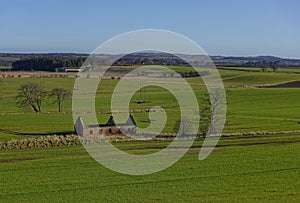 A solitary ruined traditional stone Farm Cottage set amongst the Fields of the Strathmore Valley