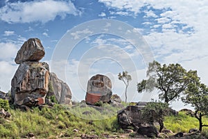 Solitary stones inserted in the African vegetation on the way to northern Angola. Soyo. Africa photo