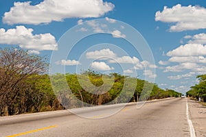 Solitary straight road