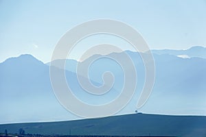 Solitary tree in RohÃ¡Äe mountains, Liptov