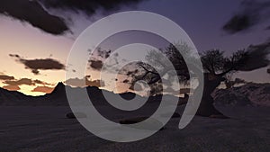 Solitary tree at surrounded by mountains, timelapse sunrise, stock footage