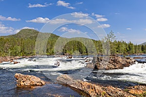 Solitary trees sprout from large rocks amidst the cascades of the Namsen River in Namsskogan, Trondelag, Norway