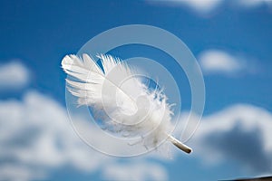 Solitary white fluffy feather floating against a cloudy blue sky background